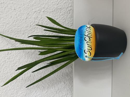 Geschenksanhänger „you are my sunshine“